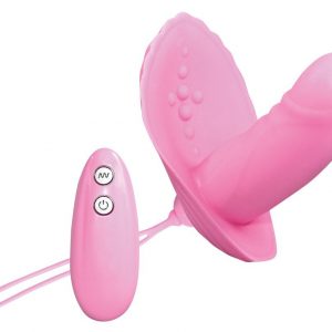 Minivibrator "RC Musling"