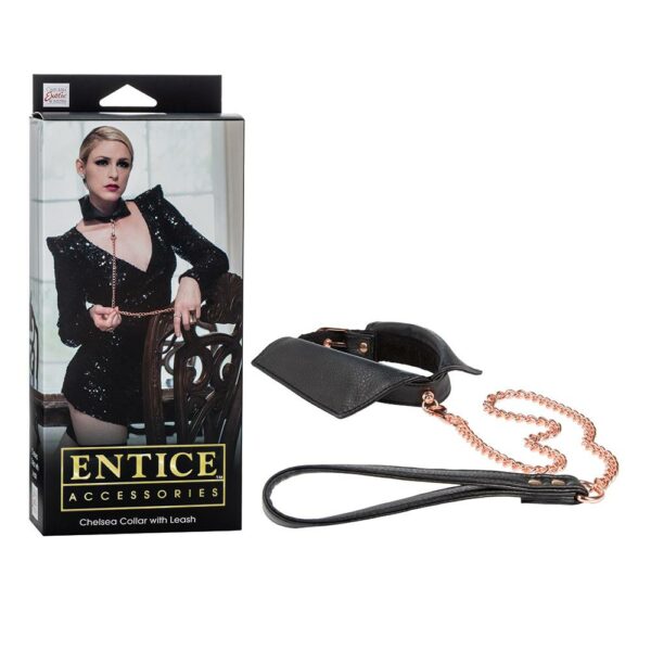 Scandal Entice Collar With Leash