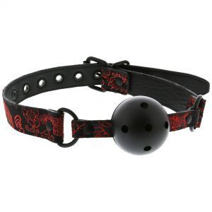 Blaze Deluxe Breathable Gagball