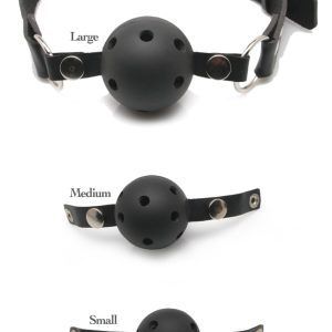 Ball Gag Training System