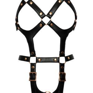 Harness