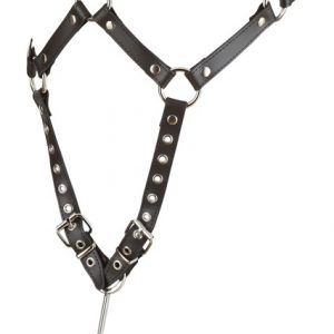 Læder harness