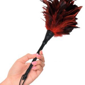 Frisky Feather Duster